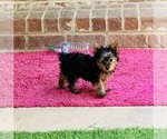 Small #11 Breeder Profile image