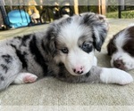 Small #18 Breeder Profile image