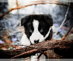 Small #14 Breeder Profile image