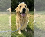 Small #1 Breeder Profile image
