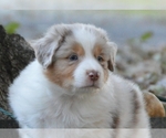 Small #8 Breeder Profile image