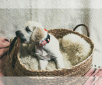 Small #24 Breeder Profile image