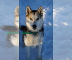 Small #4 Breeder Profile image