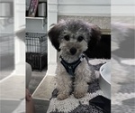 Small #1 Breeder Profile image