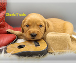 Small #5 Breeder Profile image