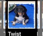 Small #3 Breeder Profile image