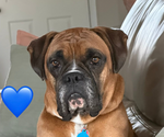 Small #3 Breeder Profile image