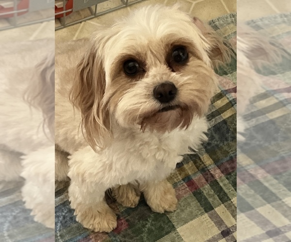 Medium Photo #1  Breeder Profile in SUMTER, SC, USA