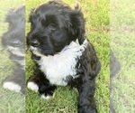 Small #8 Breeder Profile image