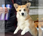 Small #11 Breeder Profile image
