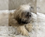 Small #14 Breeder Profile image