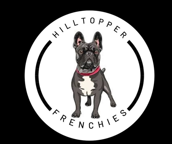 Medium Photo #1  Breeder Profile in BOWLING GREEN, KY, USA