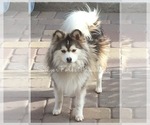 Small #26 Breeder Profile image