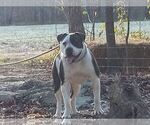 Small #12 Breeder Profile image