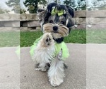 Small #12 Breeder Profile image