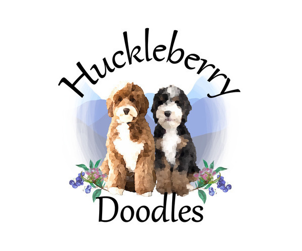 Medium Photo #1  Breeder Profile in SURPRISE, AZ, USA