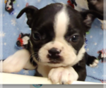 Small #10 Breeder Profile image