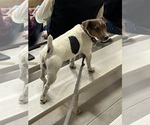 Small #10 Breeder Profile image