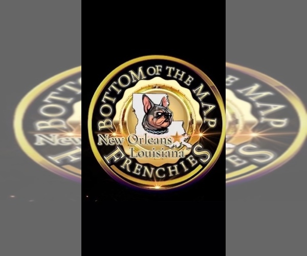 Medium Photo #1  Breeder Profile in METAIRIE, LA, USA