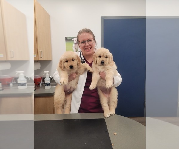 Medium Photo #36  Breeder Profile in MECHANICSVILLE, MD, USA