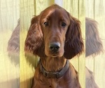 Small #18 Breeder Profile image