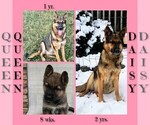 Small #5 Breeder Profile image