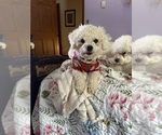 Small #8 Breeder Profile image
