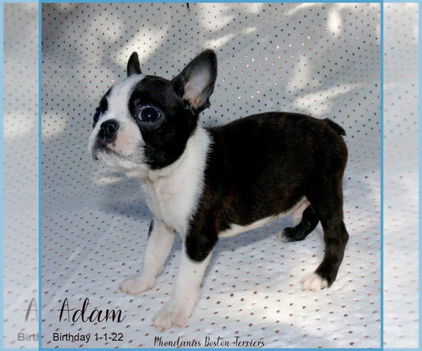 Medium Photo #4  Breeder Profile in MOSELLE, MS, USA