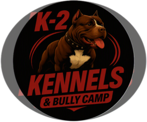 American Bully Dog Breeder near VILLA RICA, GA, USA
