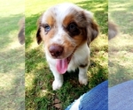 Small #13 Breeder Profile image