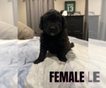 Small #2 Breeder Profile image