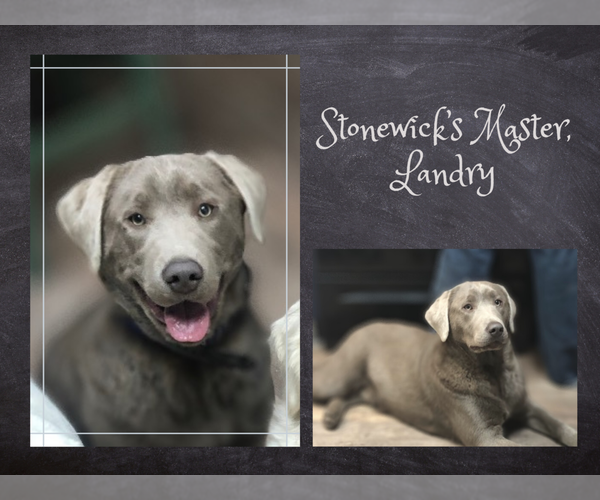 Medium Photo #1  Breeder Profile in PIEDMONT, SD, USA