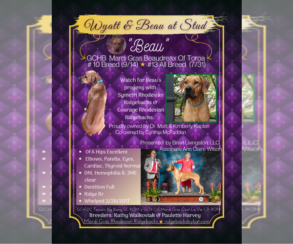 Medium Photo #14  Breeder Profile in CALDWELL, TX, USA