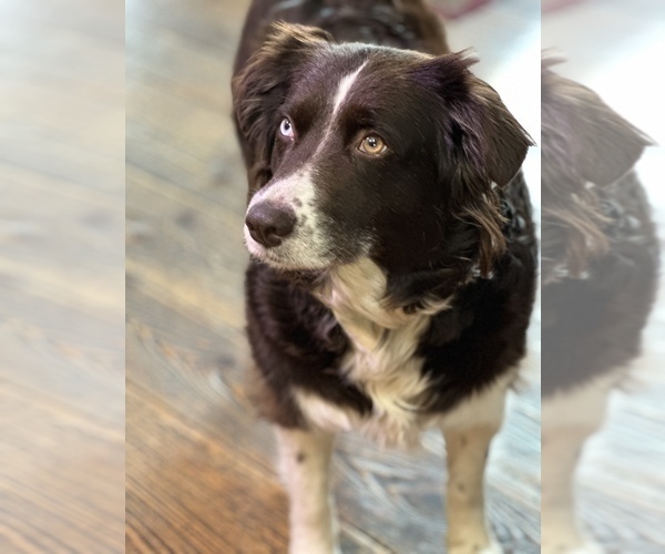 Medium Photo #6  Breeder Profile in BETHANY, CT, USA