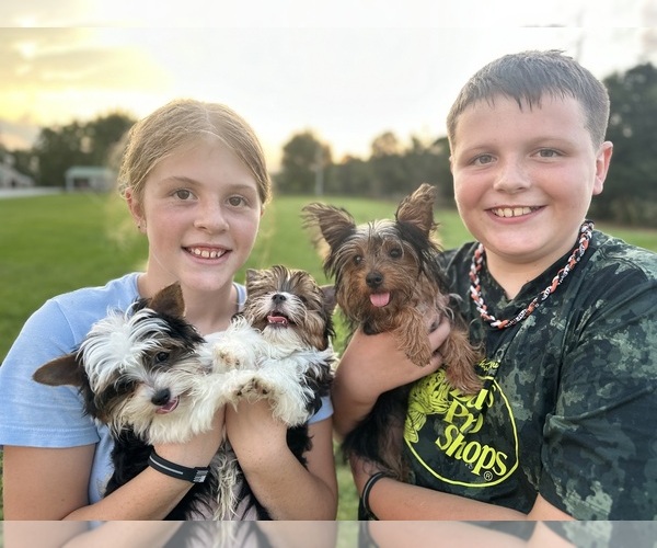 Medium Photo #1  Breeder Profile in OWENSVILLE, MO, USA