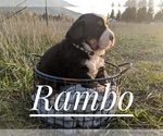 Small Photo #8  Breeder Profile in BONNERS FERRY, ID, USA