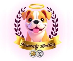 Medium Breeder Profile Photo