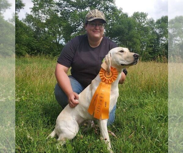 Medium Photo #1  Breeder Profile in SPRINGFIELD, MO, USA