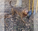 Small #18 Breeder Profile image