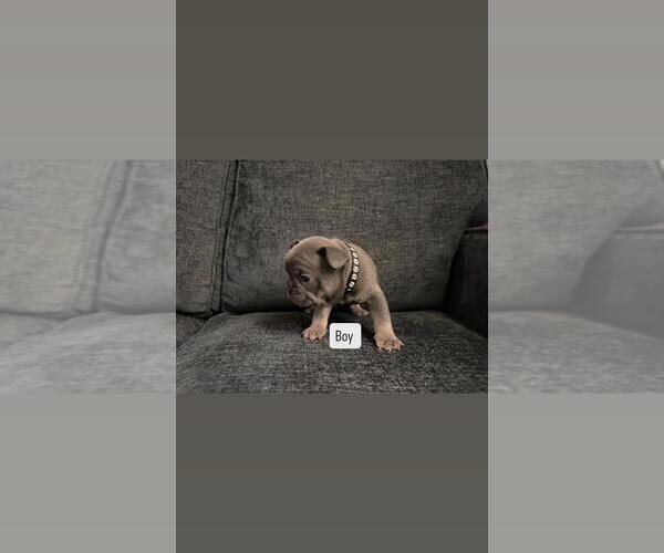 Medium Photo #2  Breeder Profile in RIALTO, CA, USA