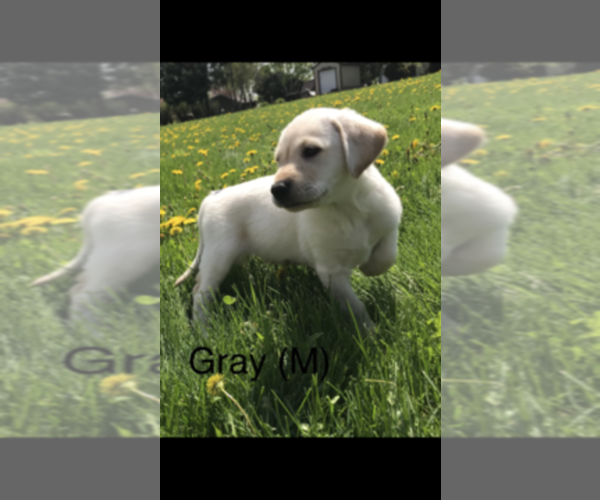 Medium Photo #1  Breeder Profile in MOUNT HOREB, WI, USA