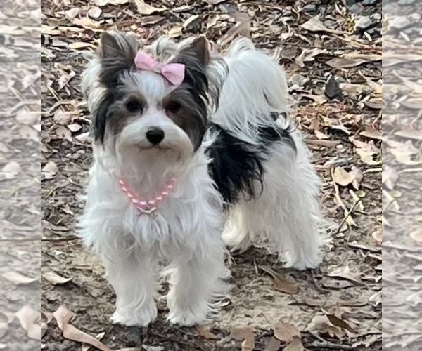 Medium Photo #2  Breeder Profile in KEITHVILLE, LA, USA