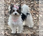 Small #1 Breeder Profile image