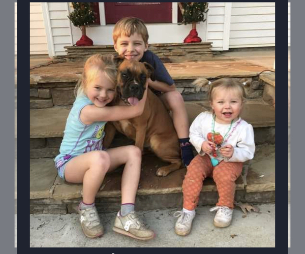 Medium Photo #1  Breeder Profile in DEMOREST, GA, USA