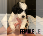 Small #5 Breeder Profile image