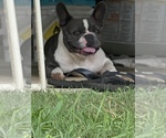 Small #15 Breeder Profile image