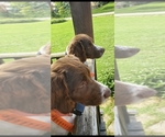 Small #6 Breeder Profile image