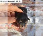 Small #1 Breeder Profile image