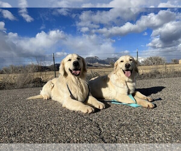 Medium Photo #2  Breeder Profile in DE BEQUE, CO, USA