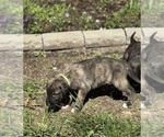 Small #14 Breeder Profile image